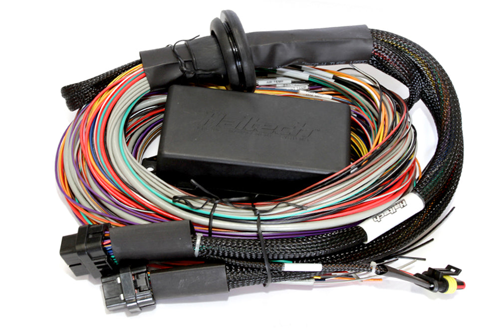 Haltech Elite 2500 & 2500 T Premium Universal Wire-in Harness HT-141304
