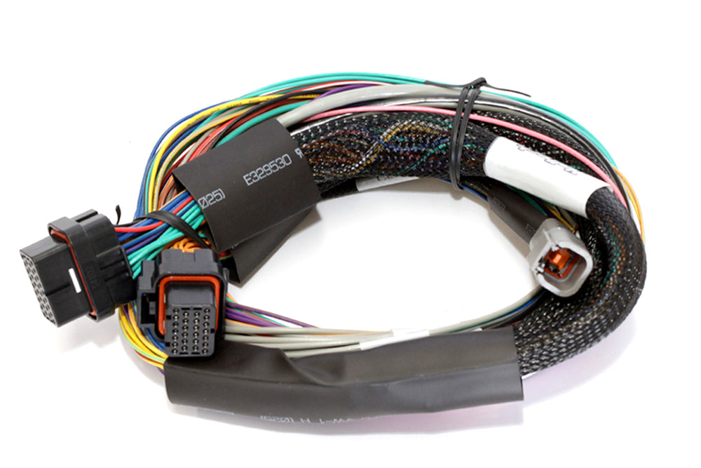 Haltech Elite 2500 + Basic Universal Wire-in Harness Kit  HT-151302