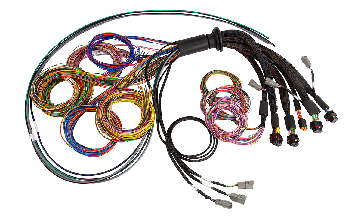 Haltech NEXUS R5 Basic Universal Wire-In harness HT-185200
